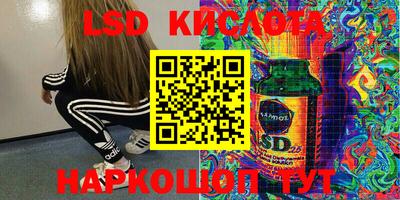 молекула духа Кулебаки