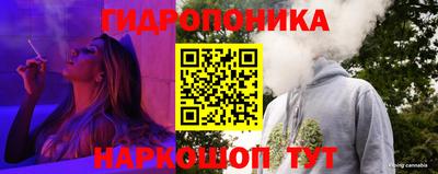 гидропоника Кунгур
