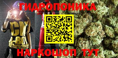 молекула духа Кулебаки