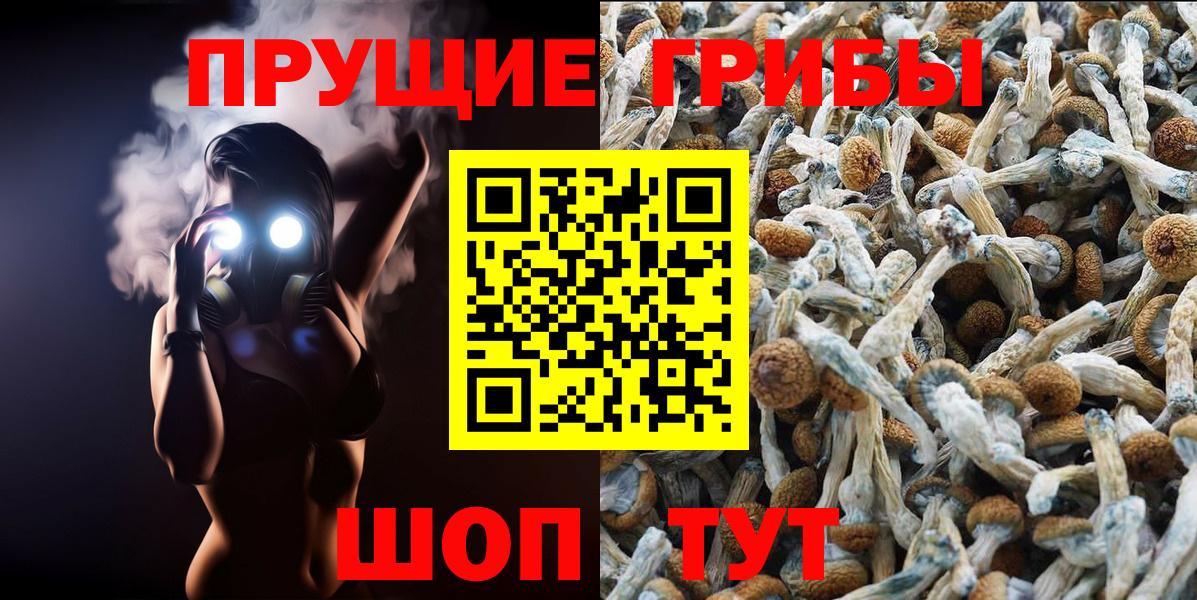 Галлюциногенные грибы GOLDEN TEACHER Уссурийск
